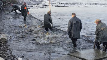 IMG-20250826-WA0000 (1).jpg